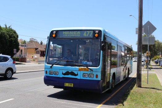 10767215200_IMG_7585