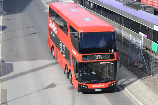 3182964377368181175_IMG_1491